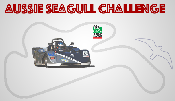 aussie_seagull_challenge_small